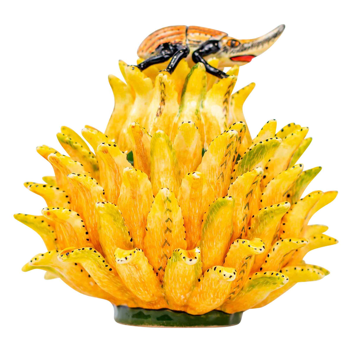 Beetle & protea jewelry box