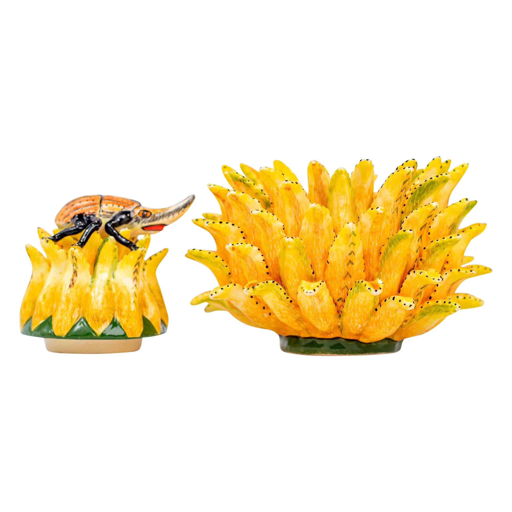 Beetle & protea jewelry box