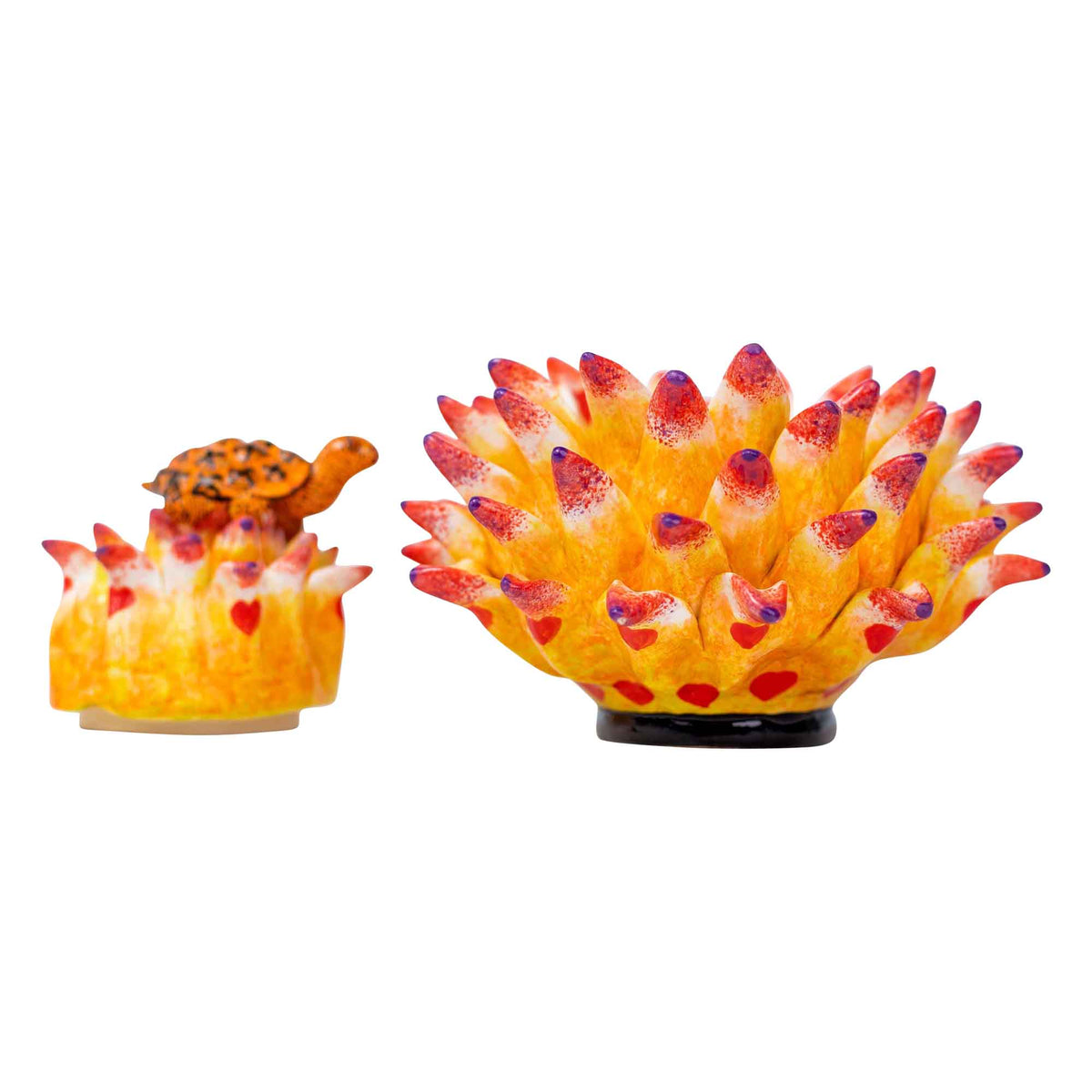 Tortoise & protea jewelry box