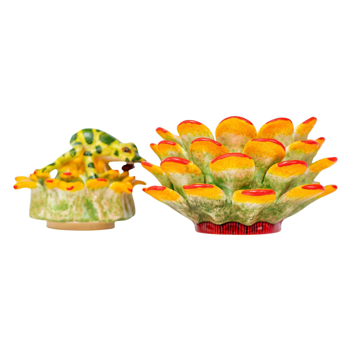 Frog & succulent jewelry box