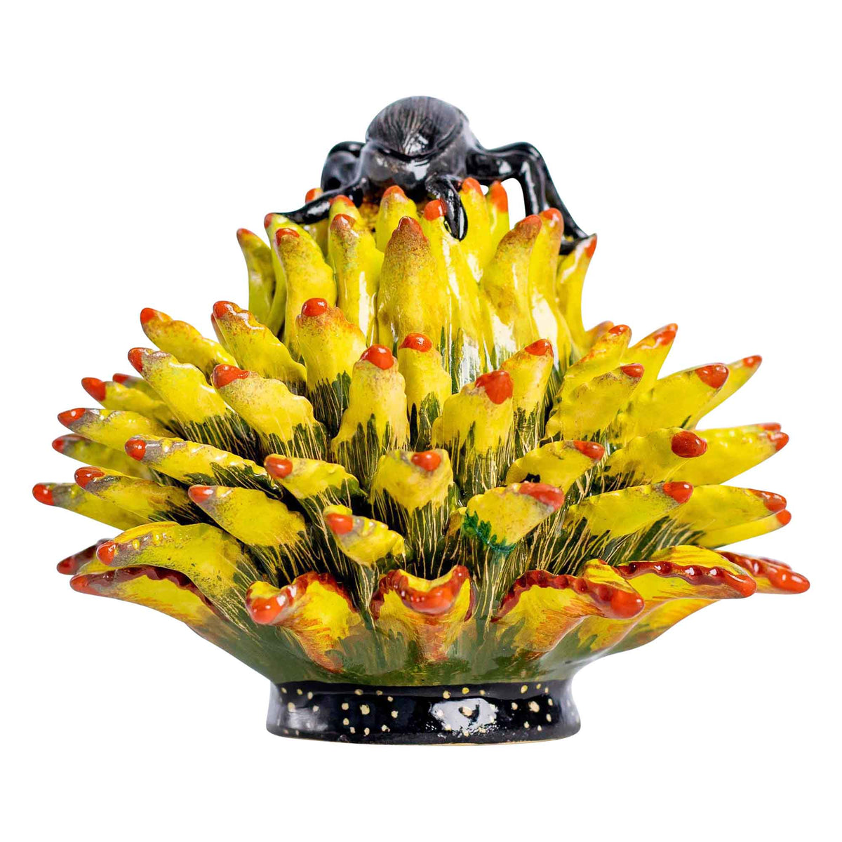 Beetle & aloe jewelry box