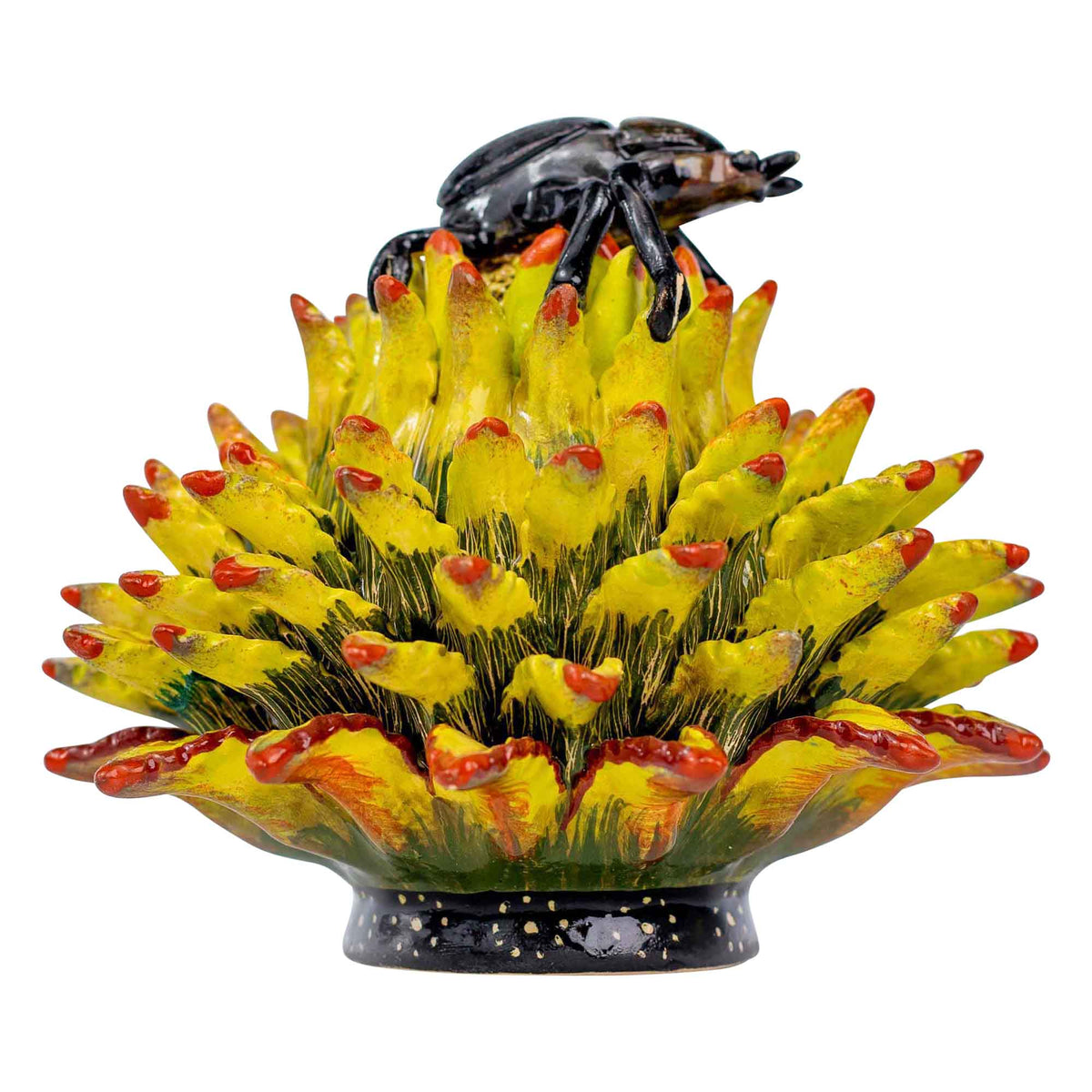 Beetle & aloe jewelry box