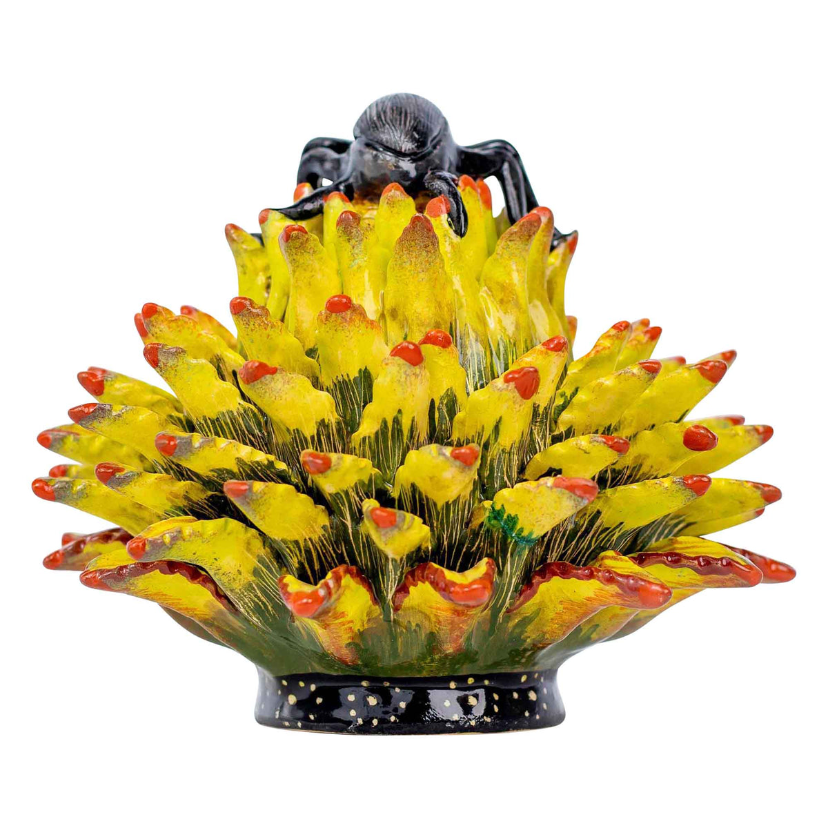 Beetle & aloe jewelry box