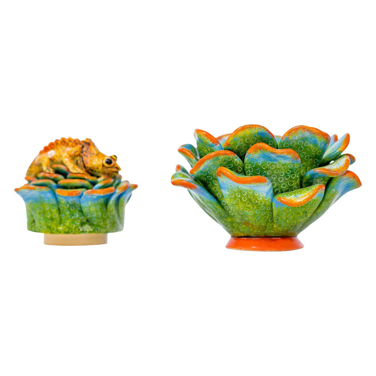 Chameleon & succulent jewelry box