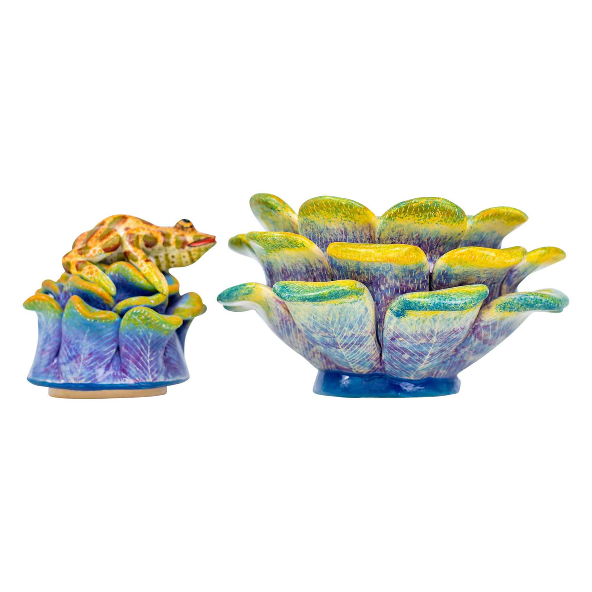 Frog & succulent jewelry box