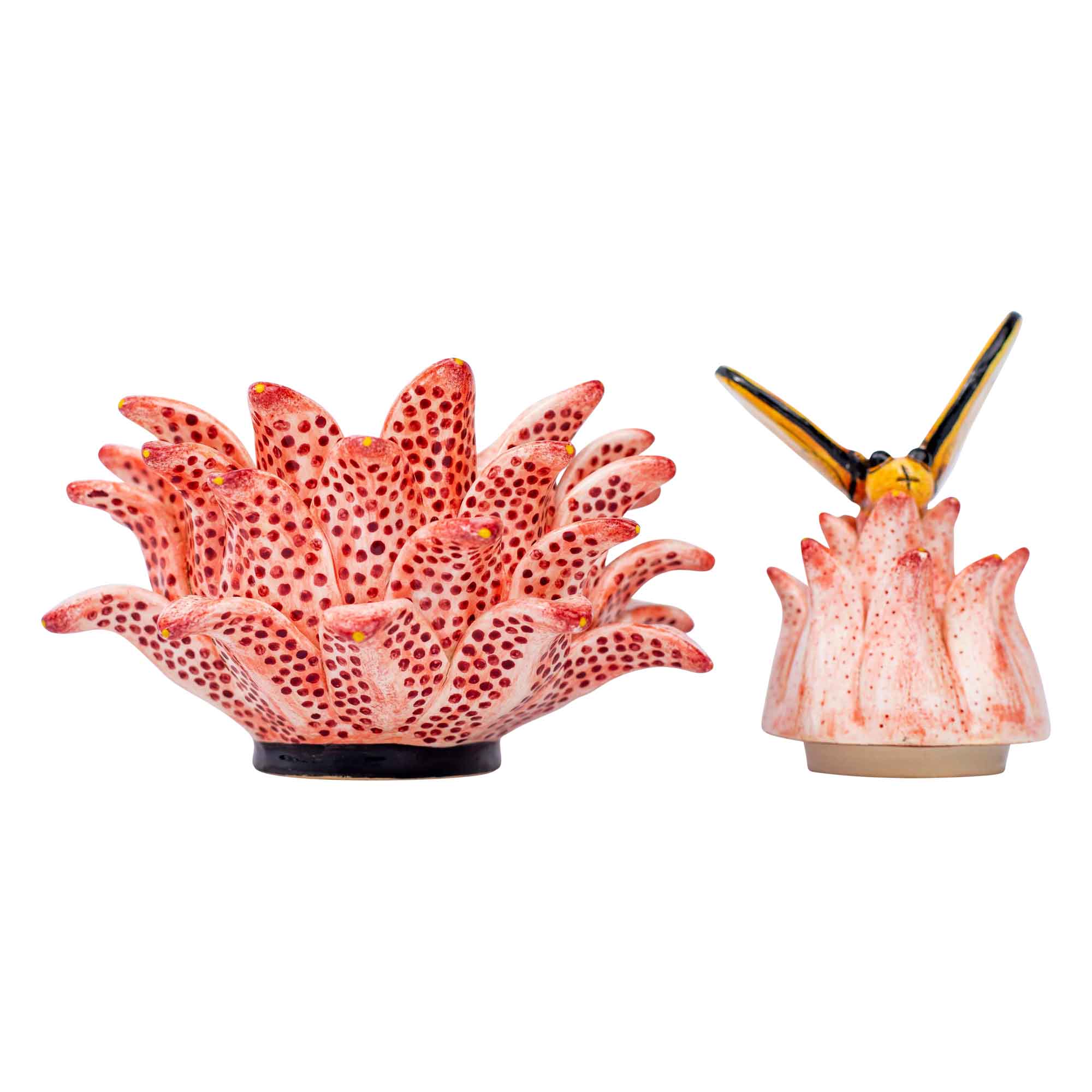 Butterfly & protea jewelry box