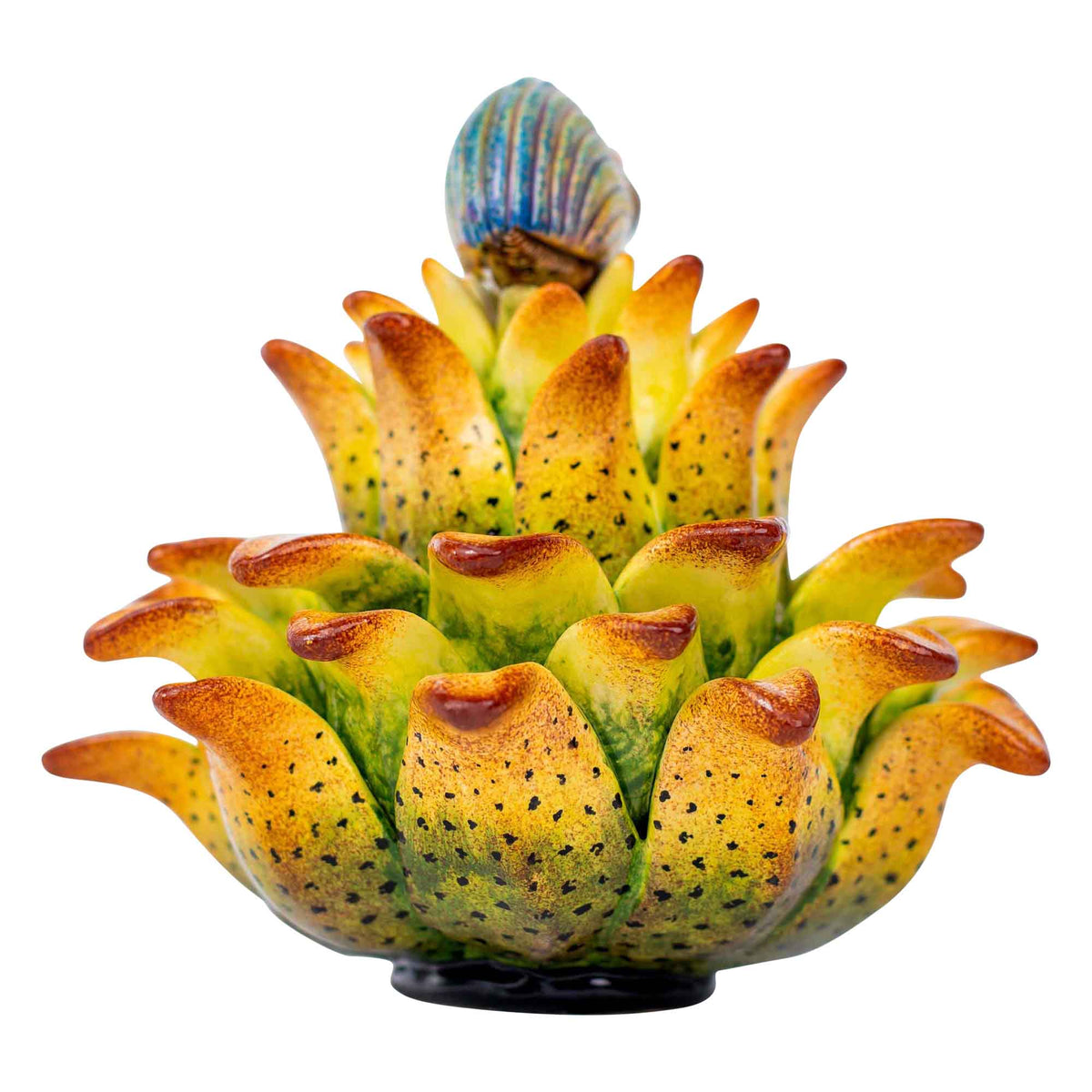 Beetle & protea jewelry box