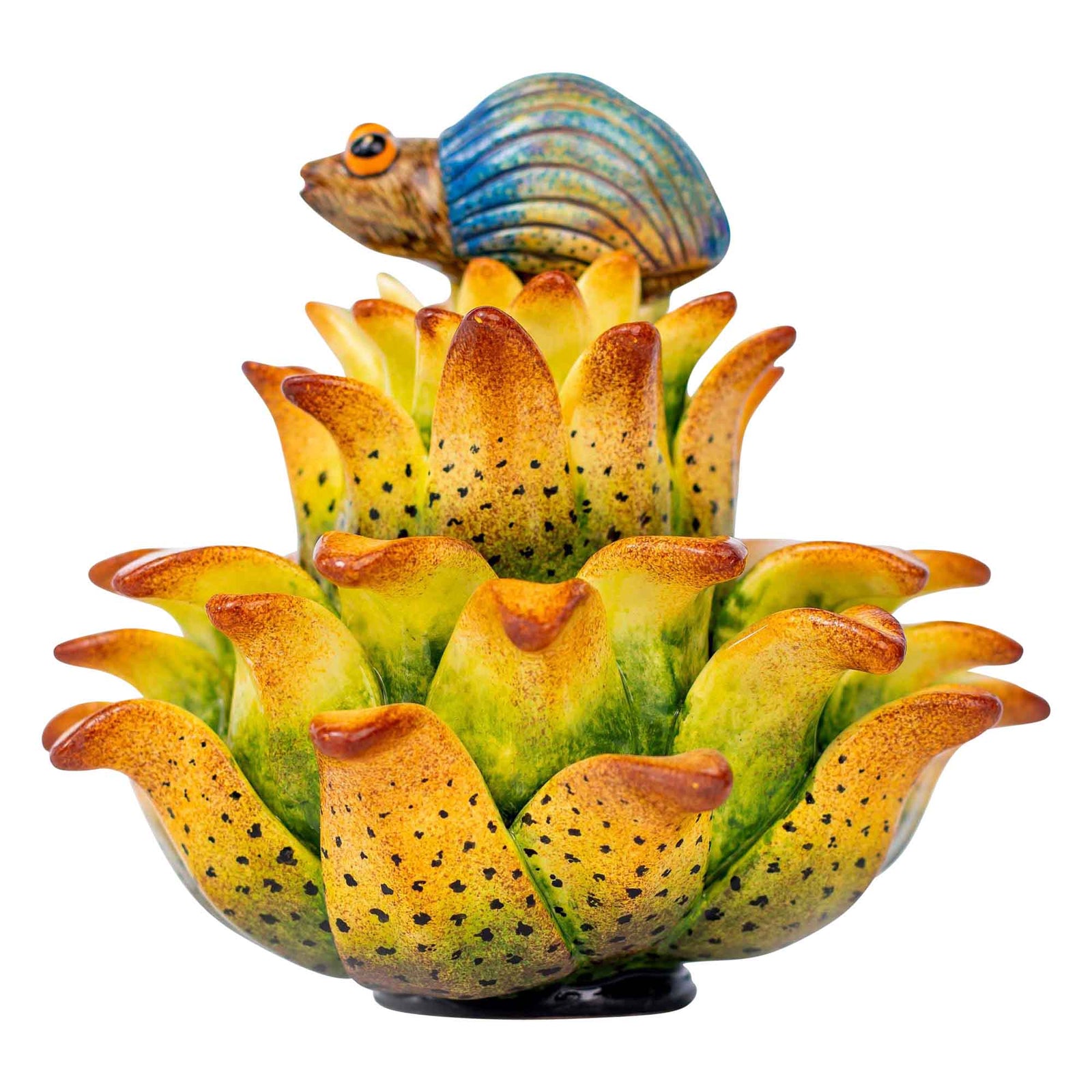 Beetle & protea jewelry box
