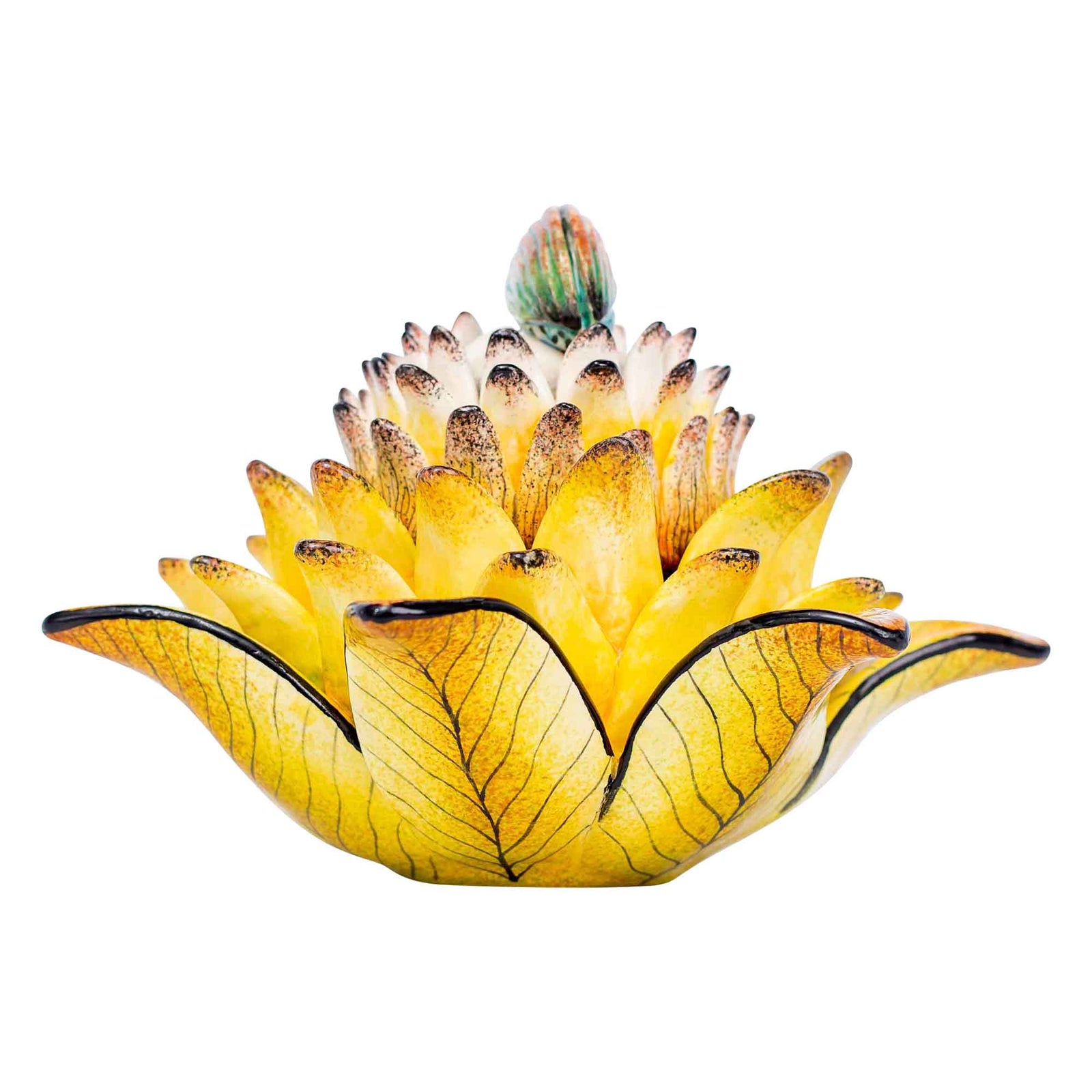 Beetle & protea jewelry box