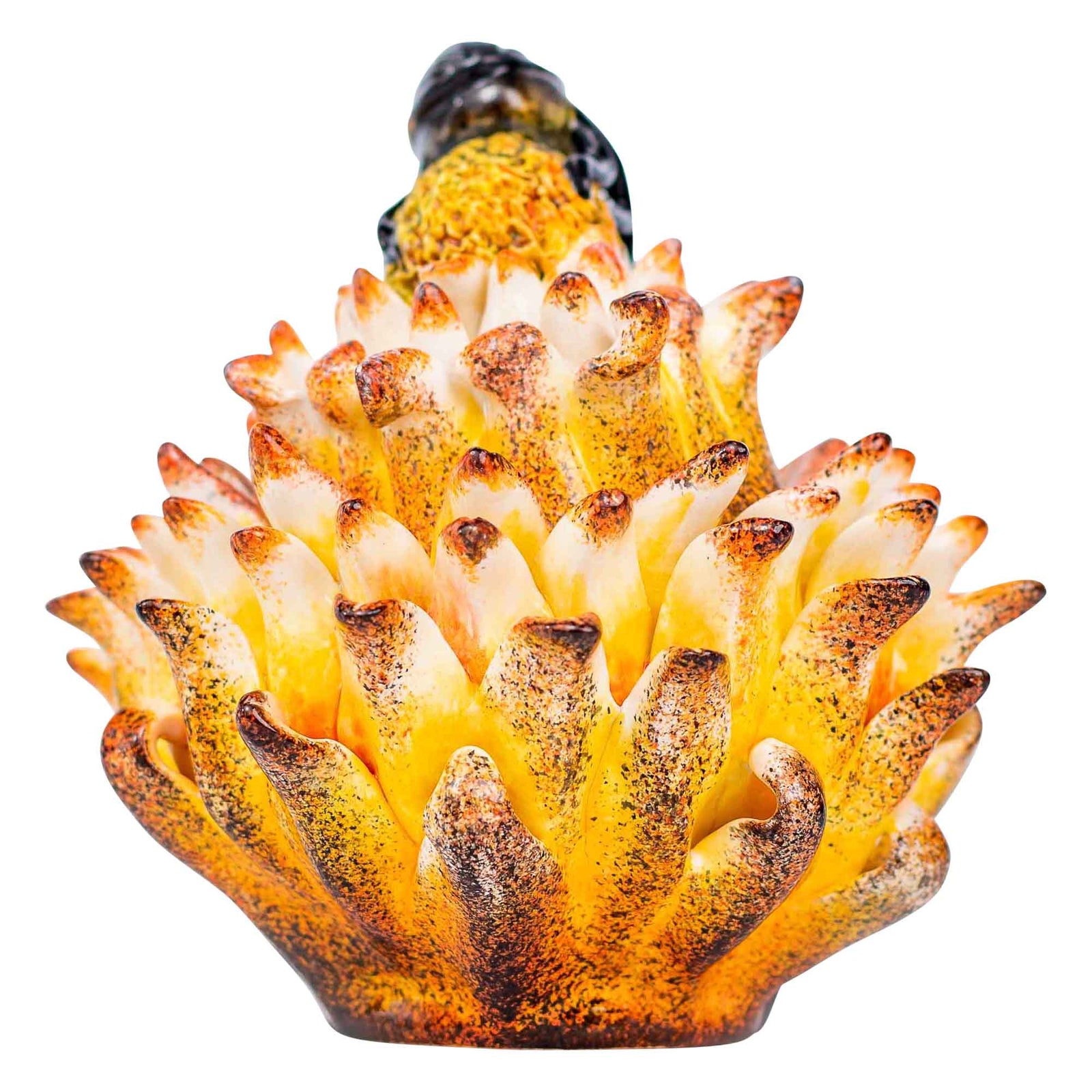 Beetle & protea jewelry box