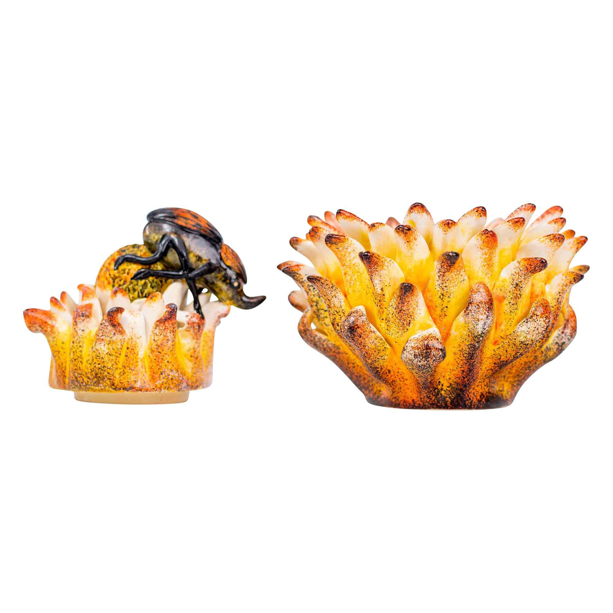 Beetle & protea jewelry box