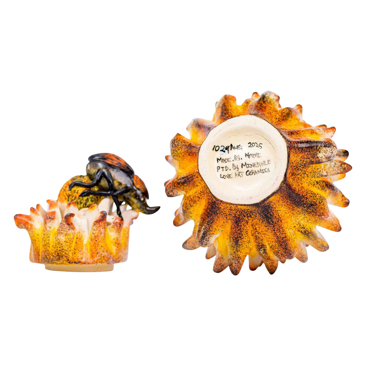 Beetle & protea jewelry box