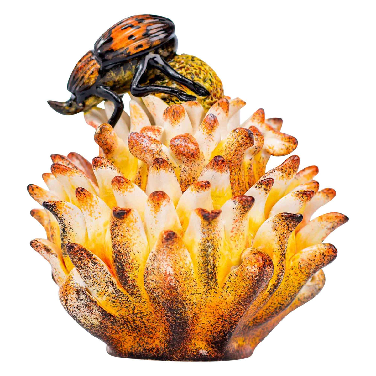 Beetle & protea jewelry box