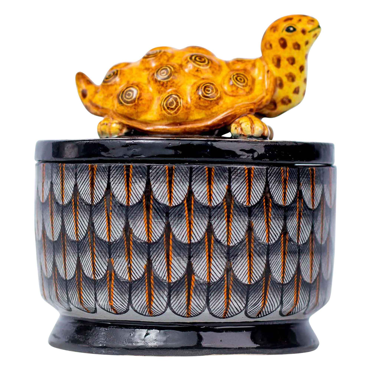 Tortoise jewelry box