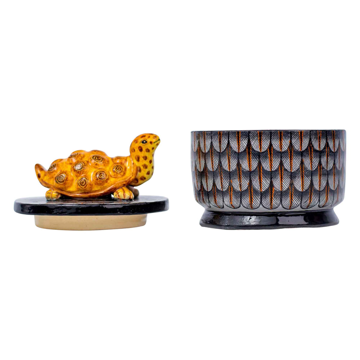 Tortoise jewelry box