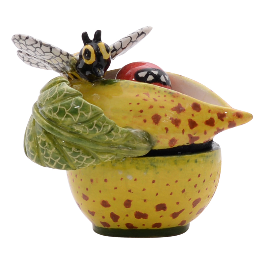 Bee on succulent flower jewelry box