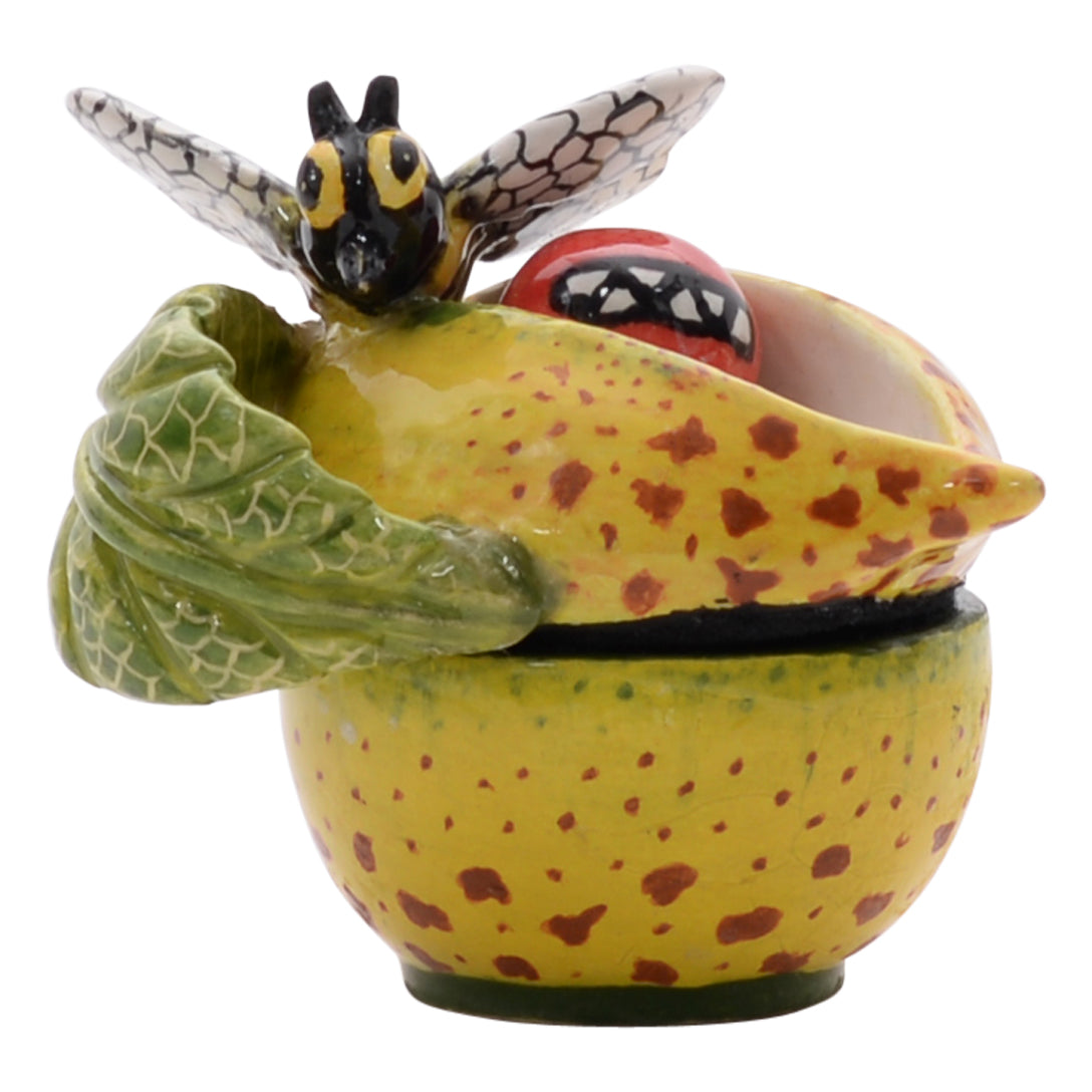 Bee on succulent flower jewelry box