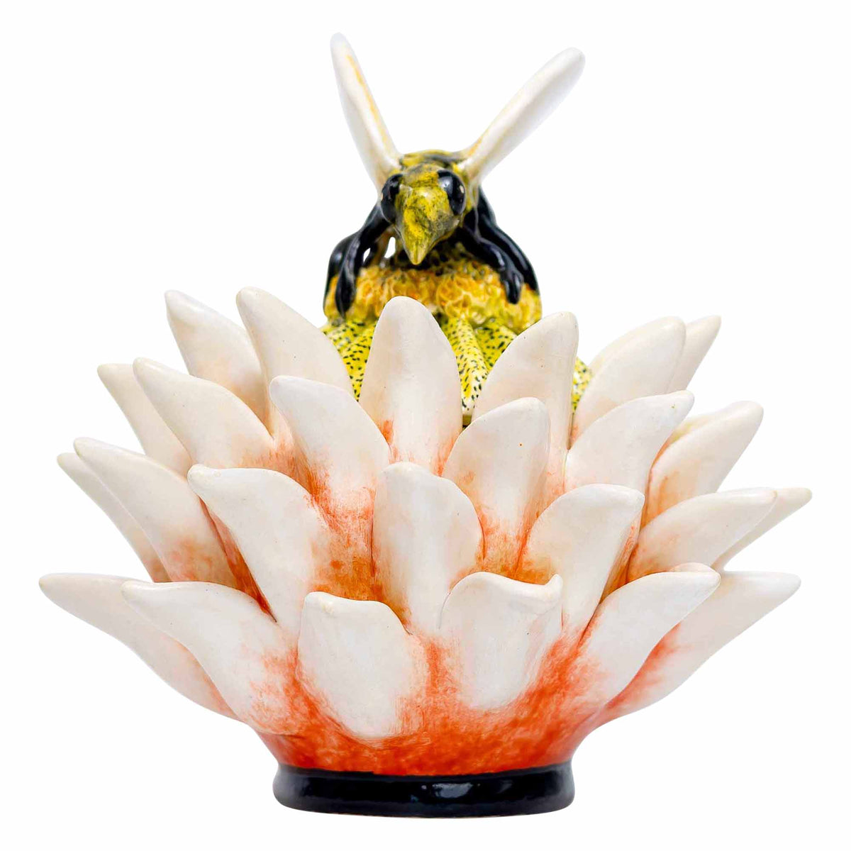 Butterfly, Protea Jewelry Box