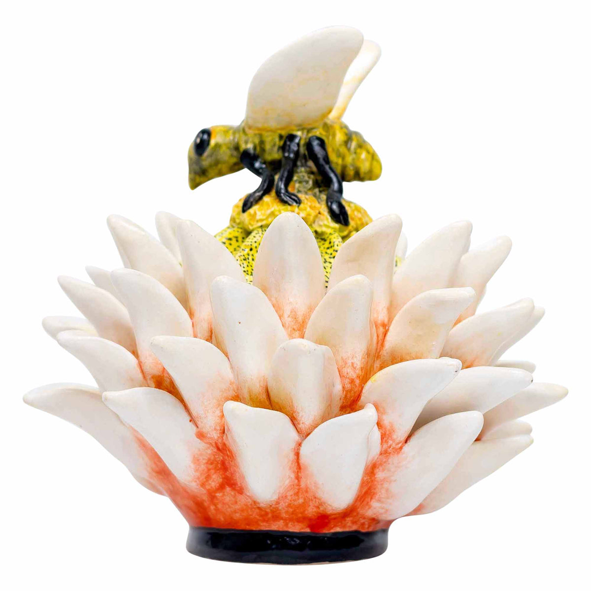 Butterfly, Protea Jewelry Box