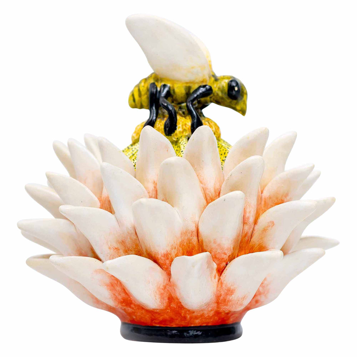 Butterfly, Protea Jewelry Box