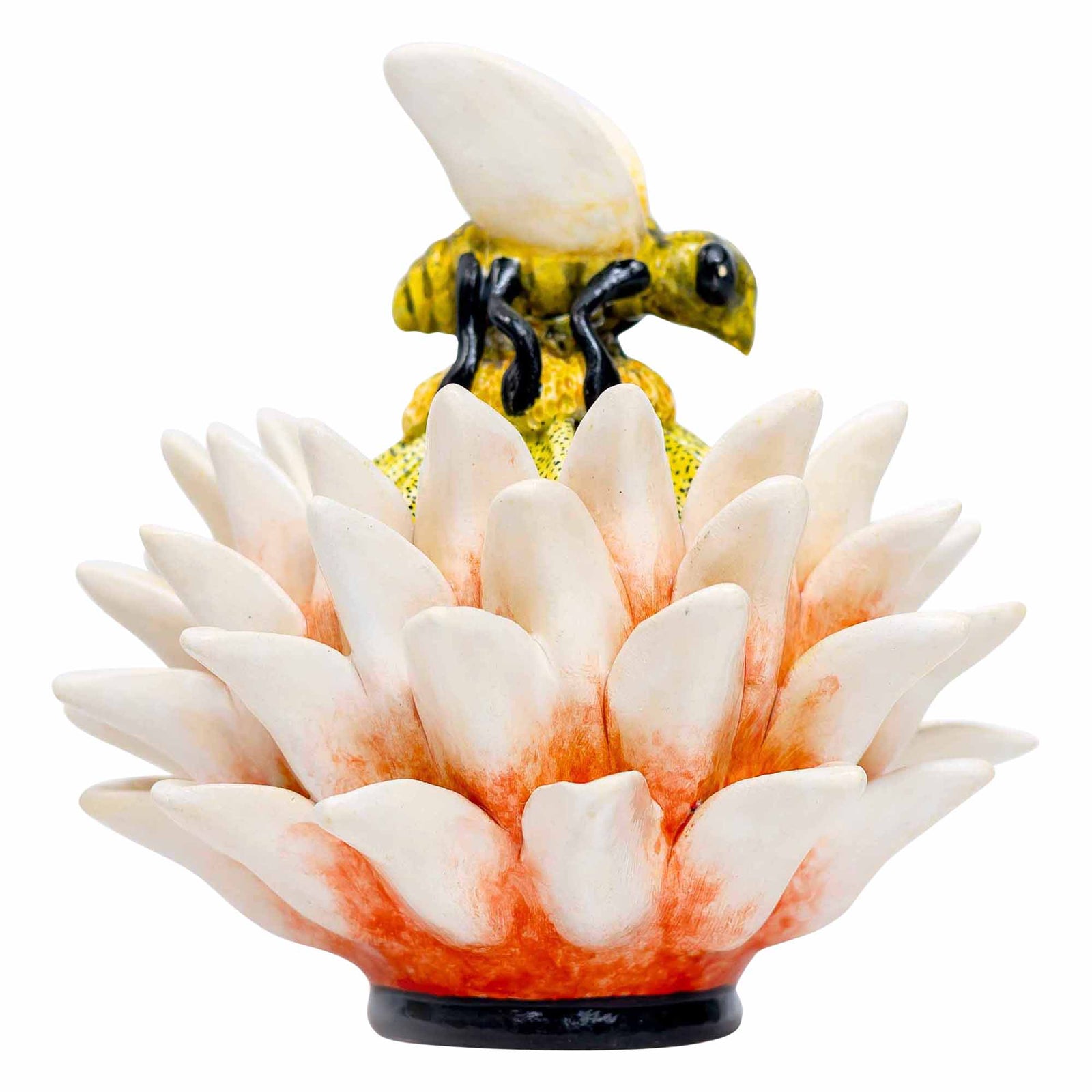 Butterfly, Protea Jewelry Box