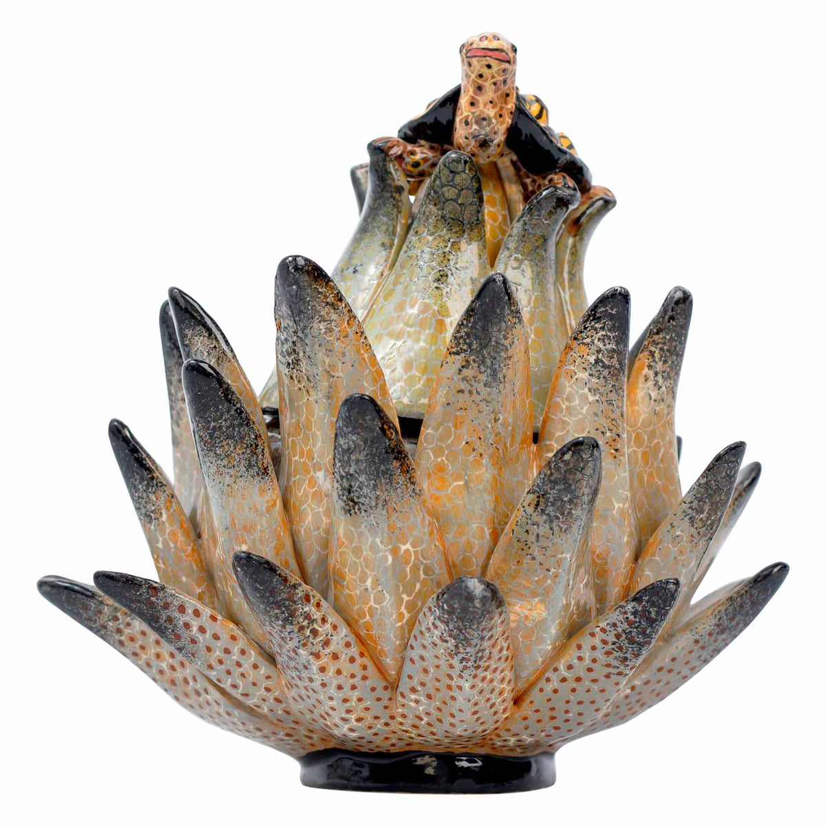 Tortoise/Protea Jewelry Box