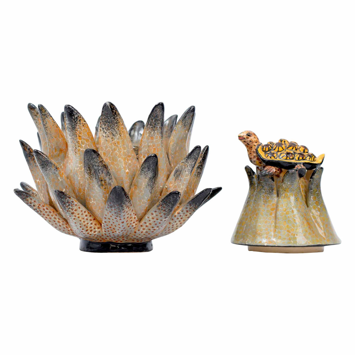 Tortoise/Protea Jewelry Box