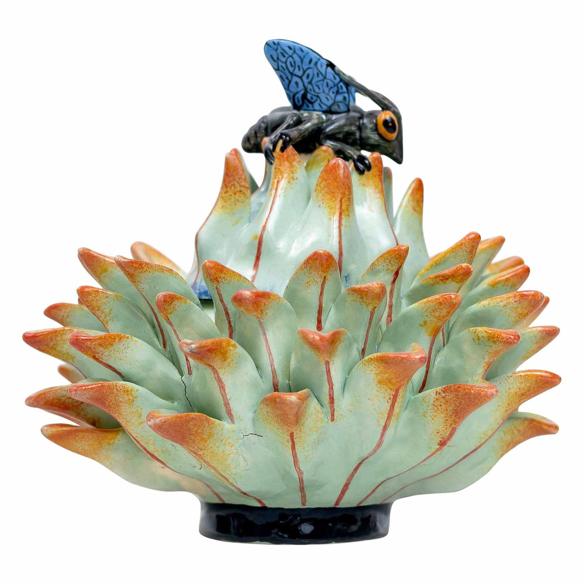 Fly, Protea Jewelry Box