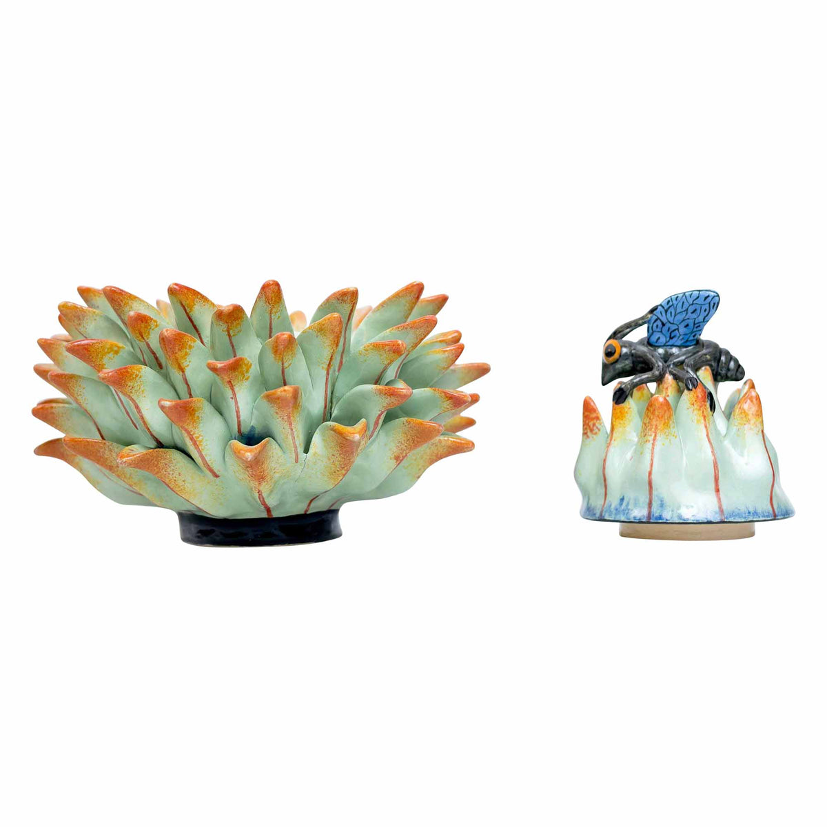 Fly, Protea Jewelry Box