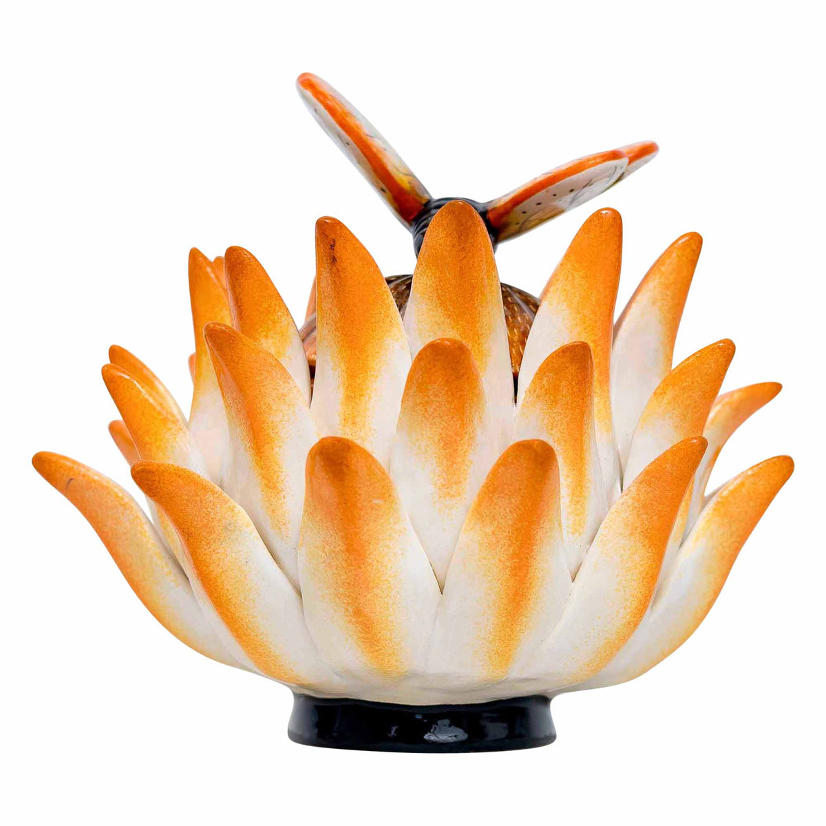 Protea, Butterfly Jewelry Box