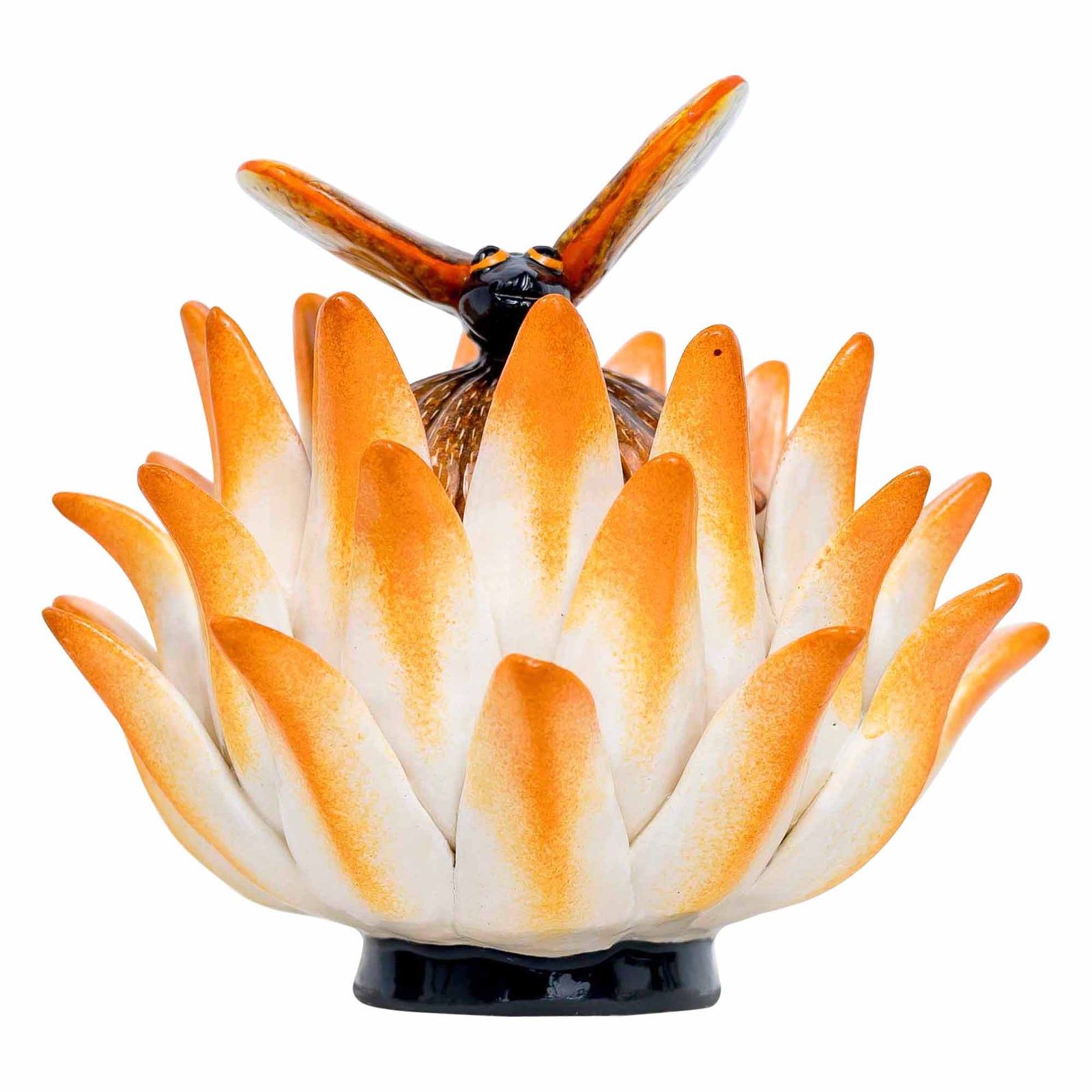 Protea, Butterfly Jewelry Box