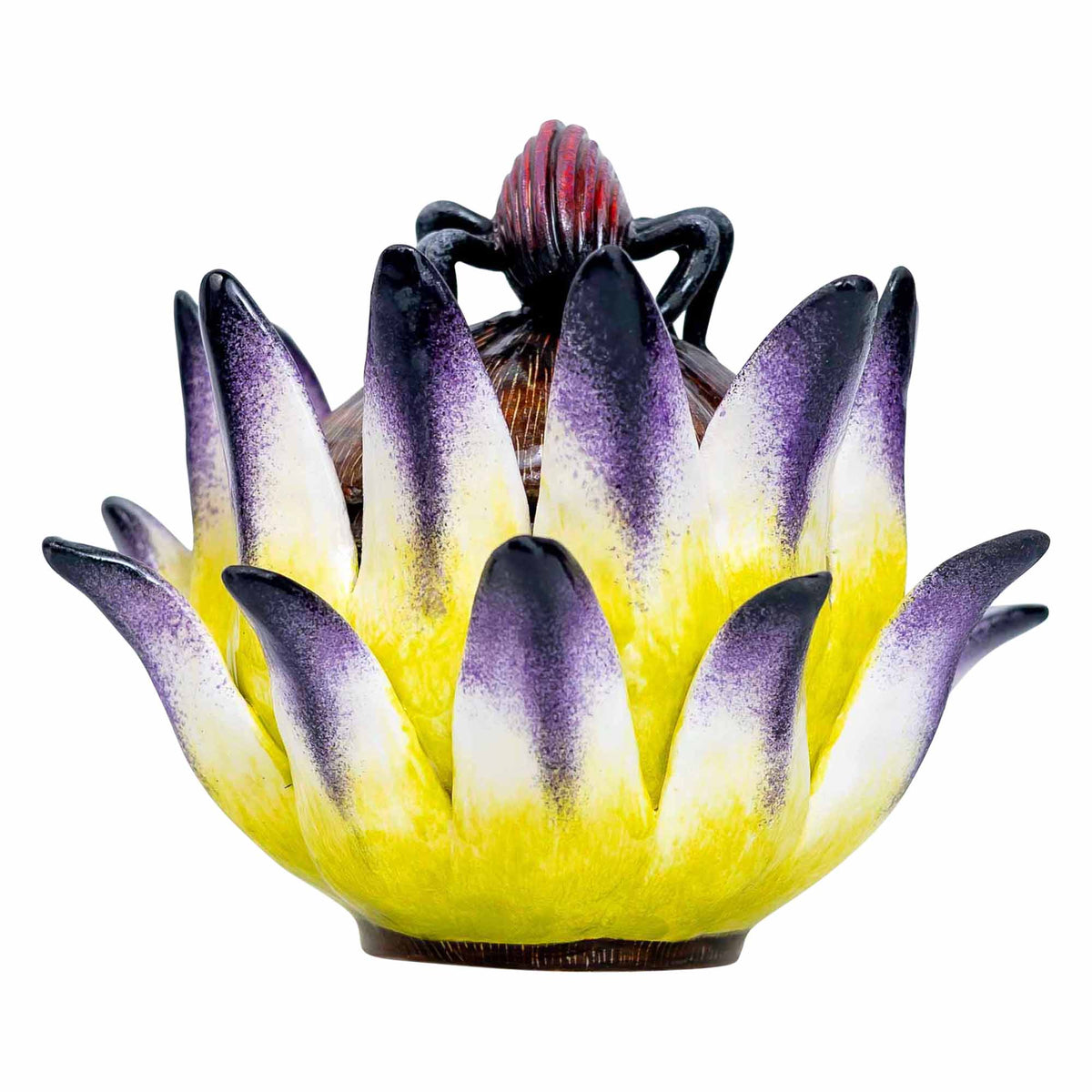 Beetle, Protea Jewelry Box
