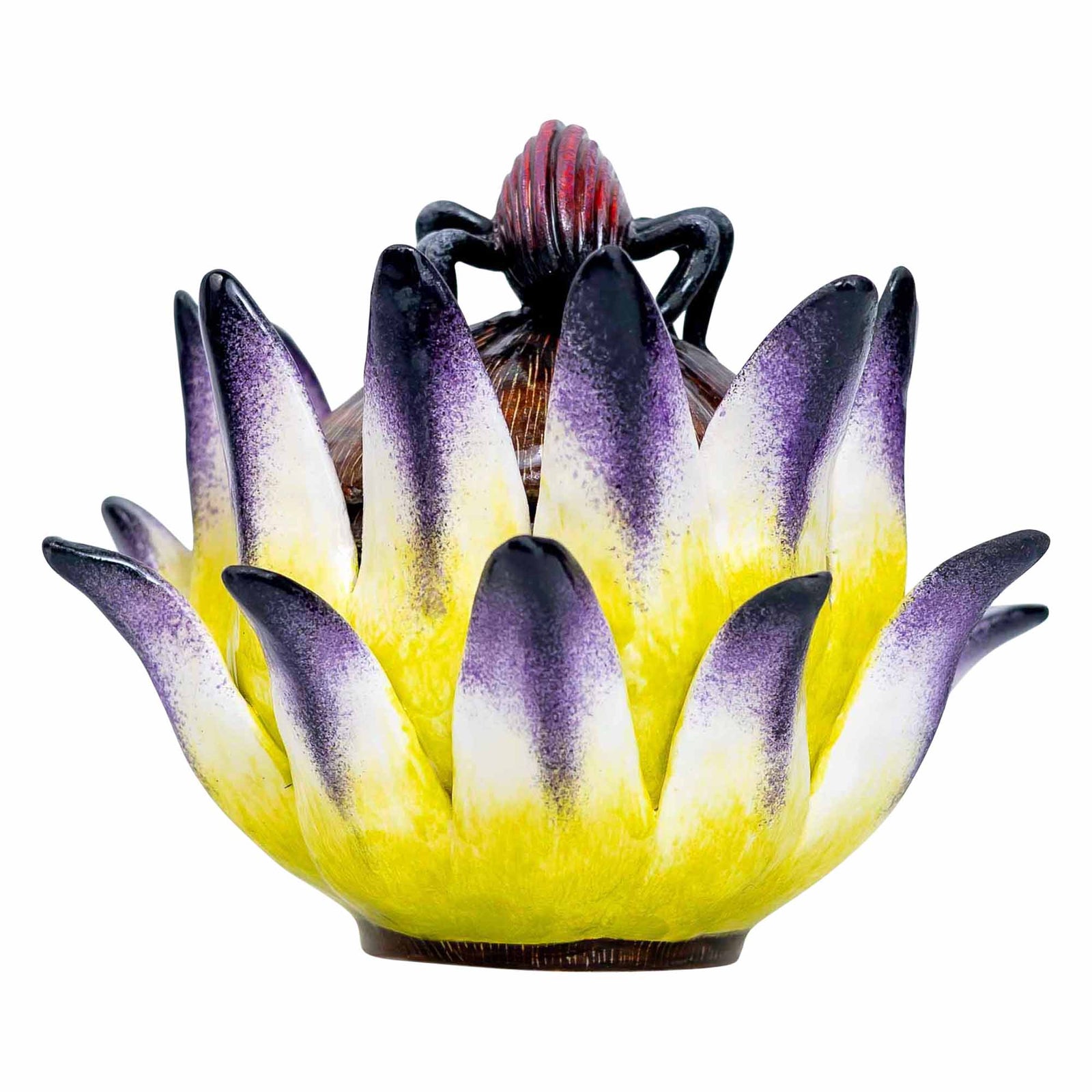 Beetle, Protea Jewelry Box