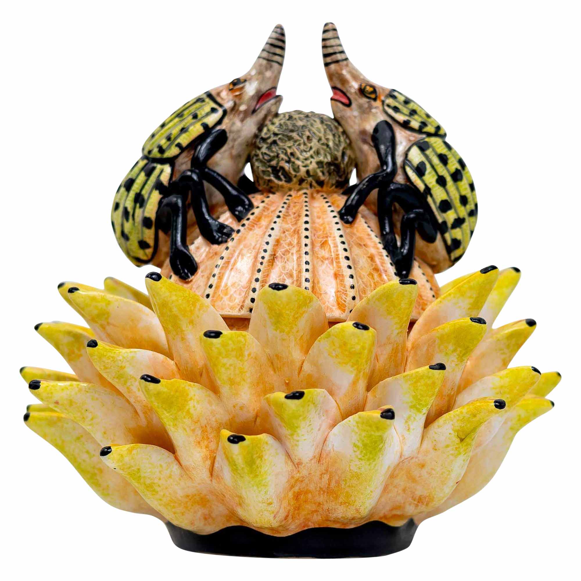 Bettle Protea Jewelry Box