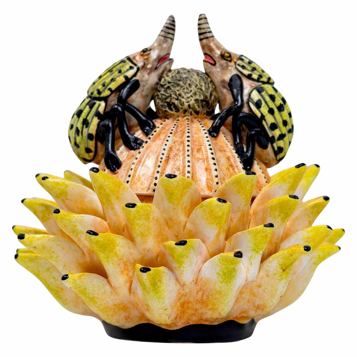 Bettle Protea Jewelry Box