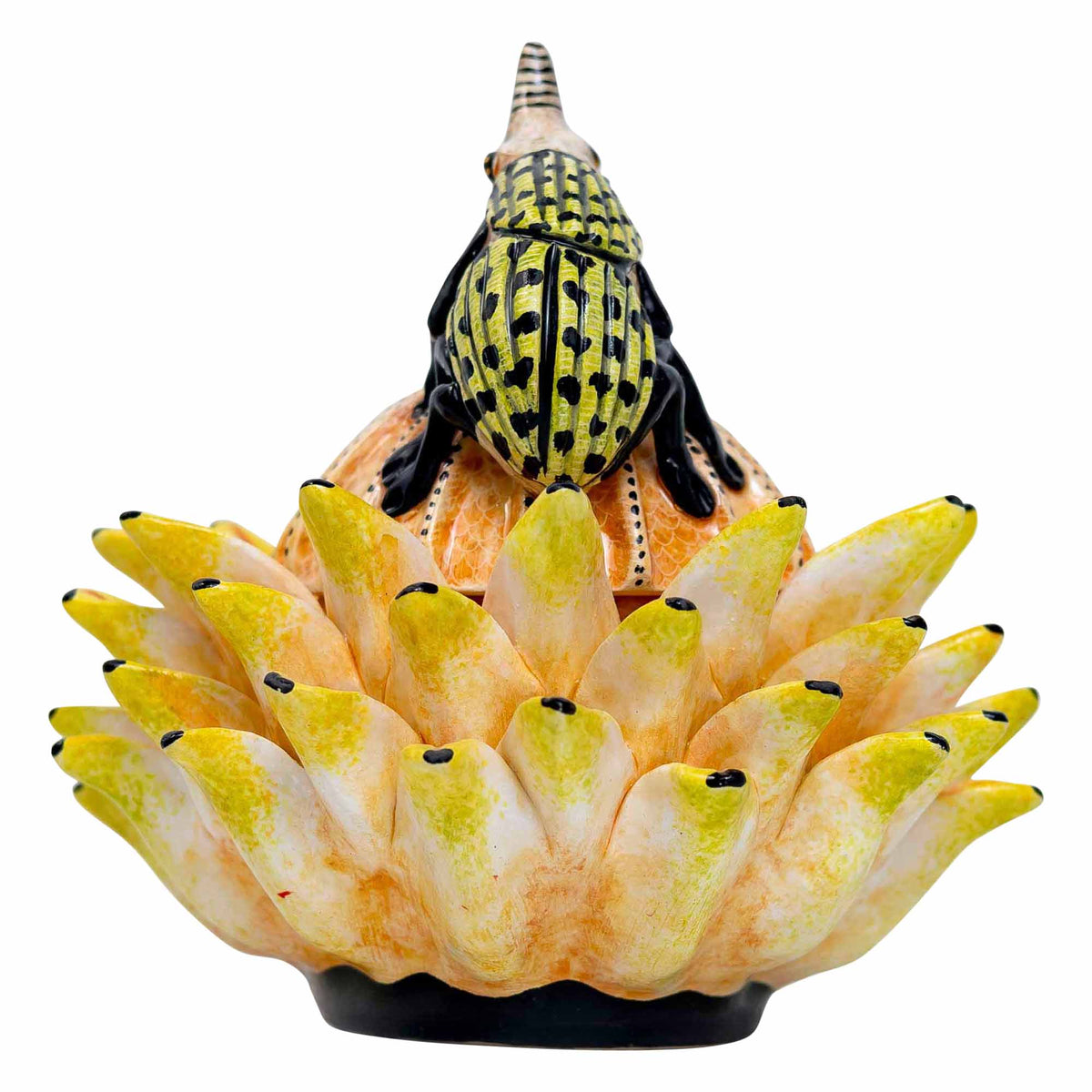 Bettle Protea Jewelry Box