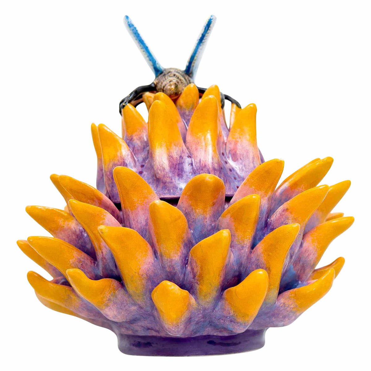Butterfly, Protea Jewelry Box