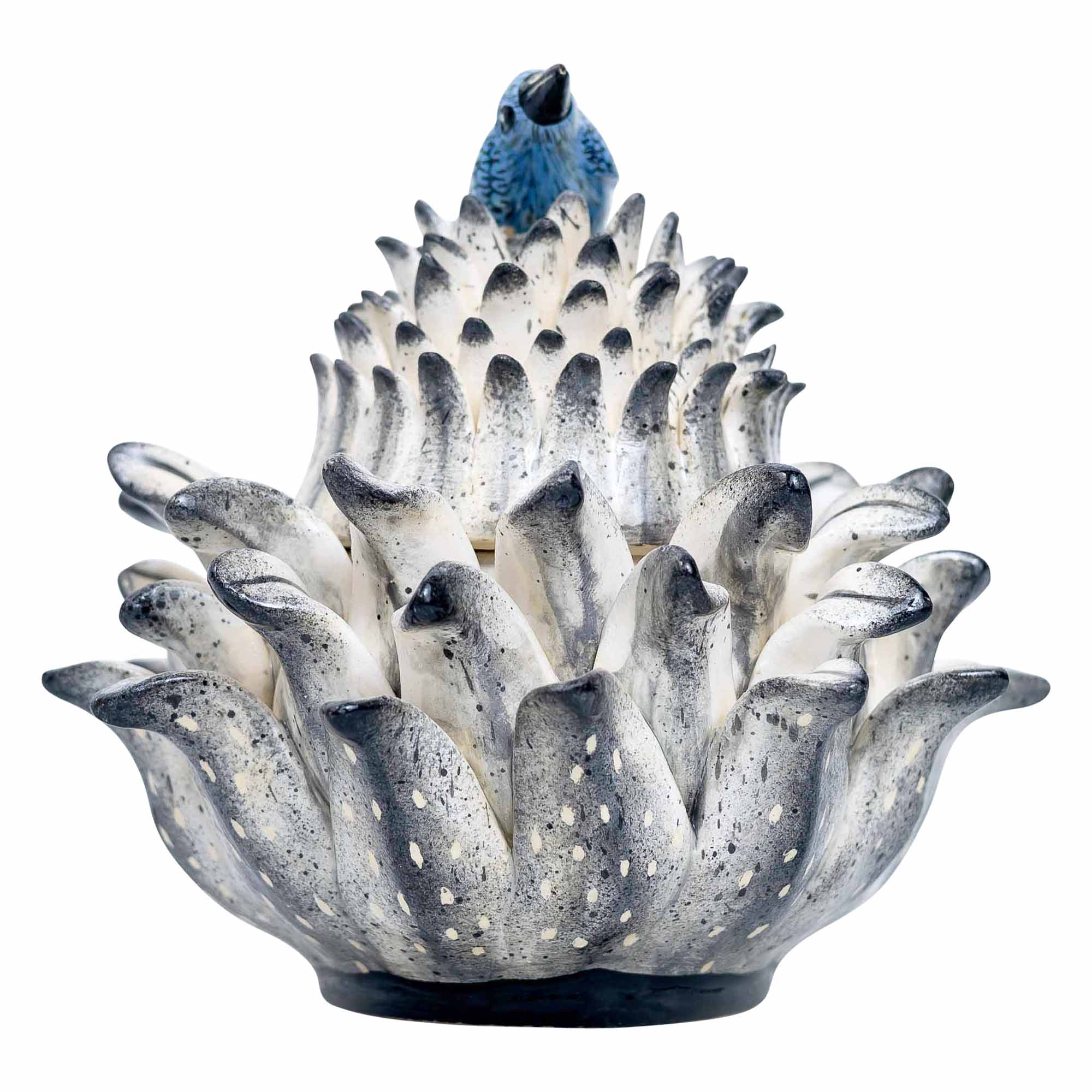 Bird, Protea Jewelry Box