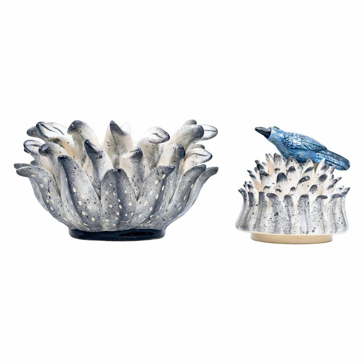Bird, Protea Jewelry Box