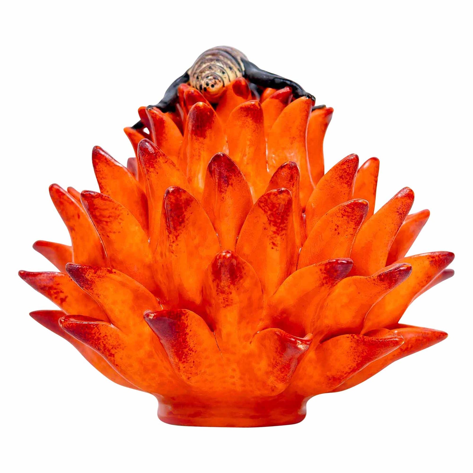 Protea Jewelry Box