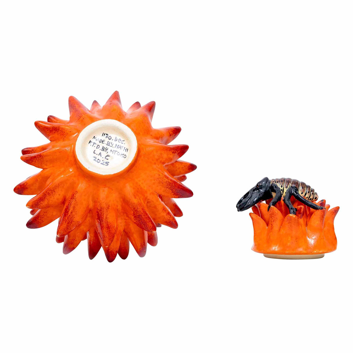 Protea Jewelry Box