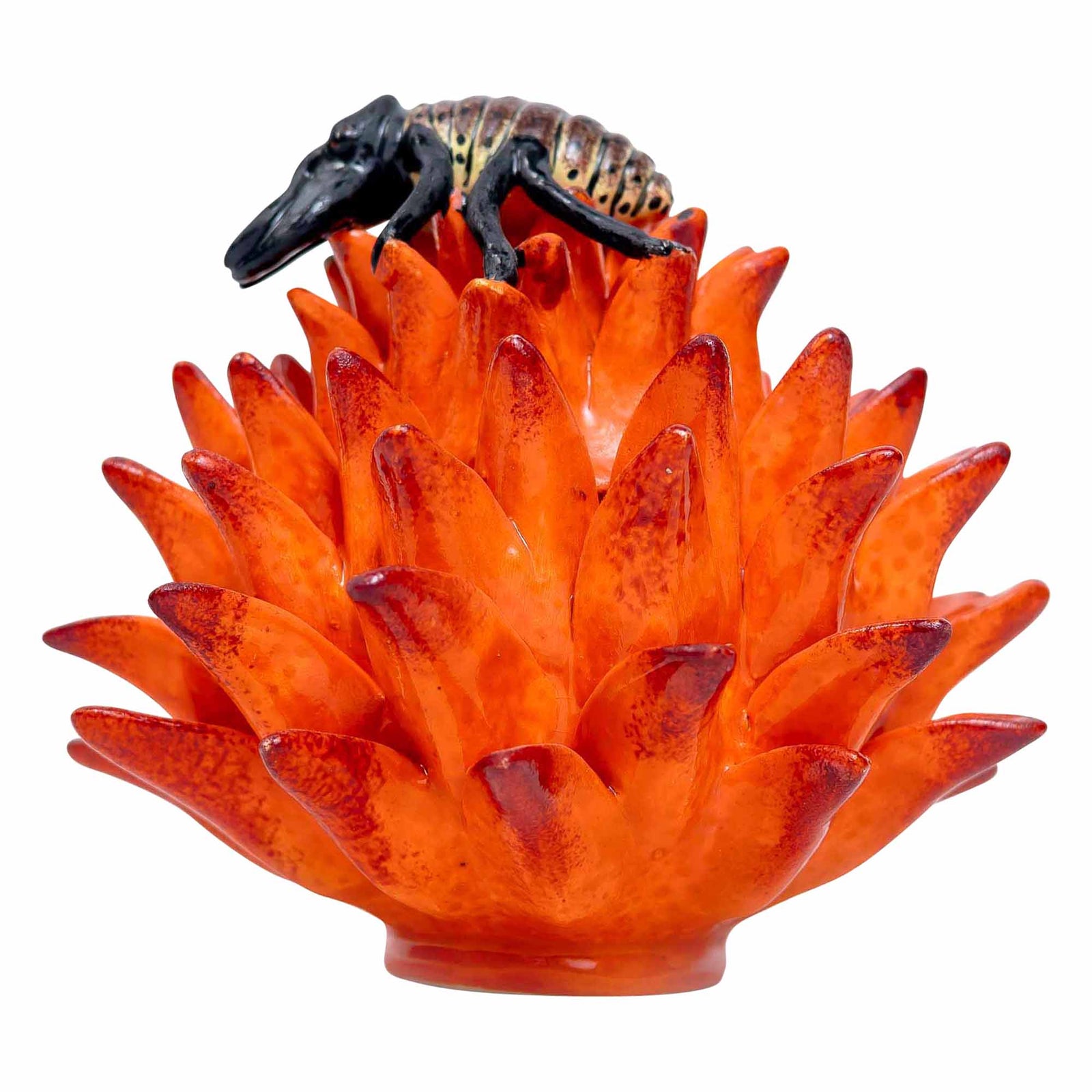 Protea Jewelry Box