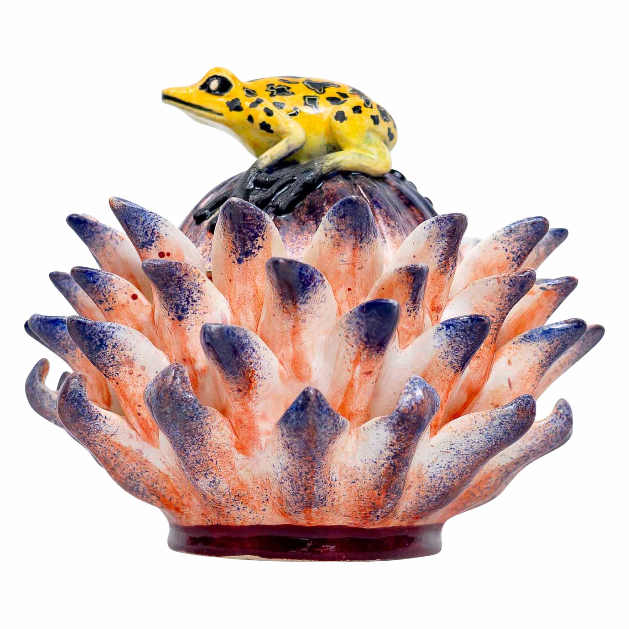 Frog, Protea Jewelry Box