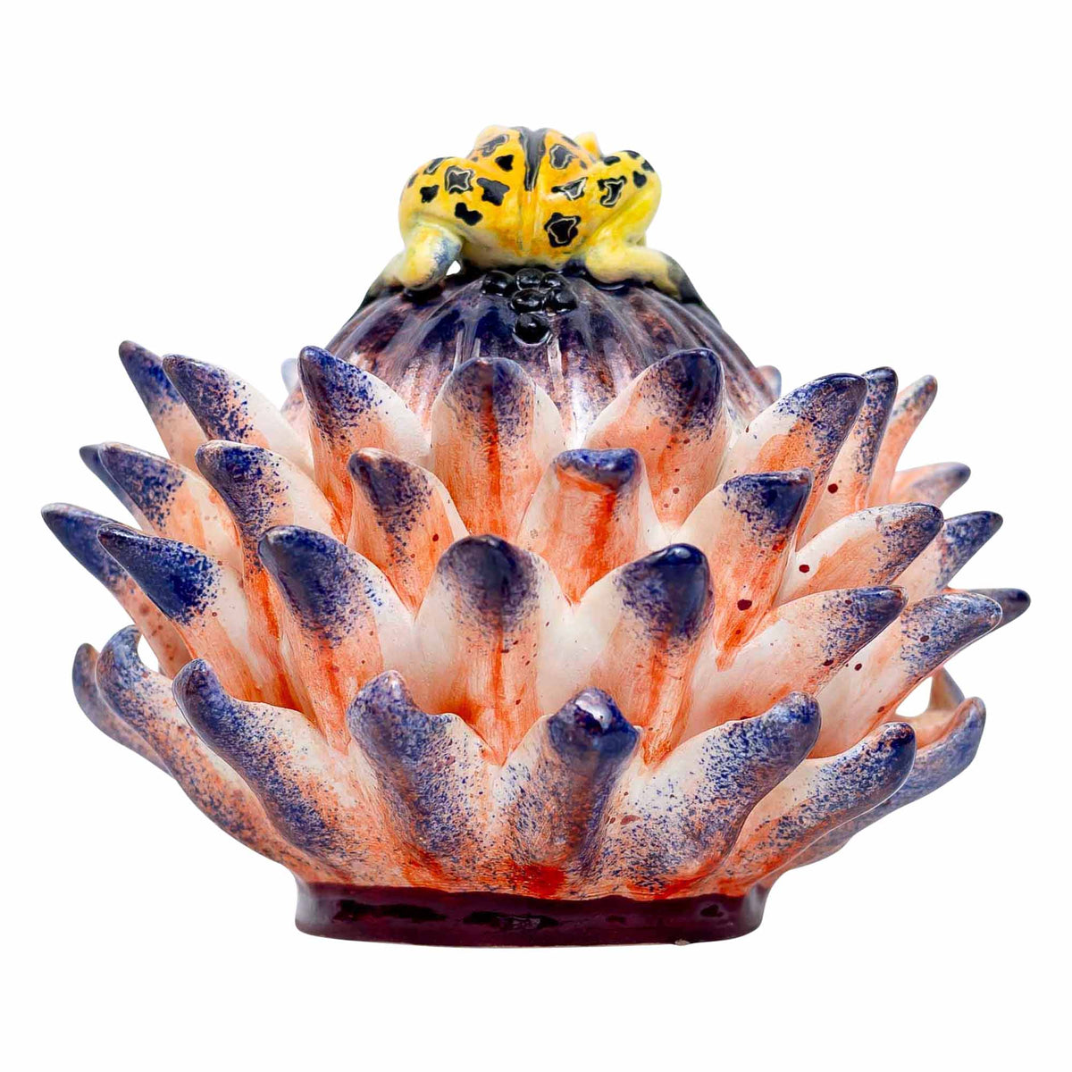 Frog, Protea Jewelry Box