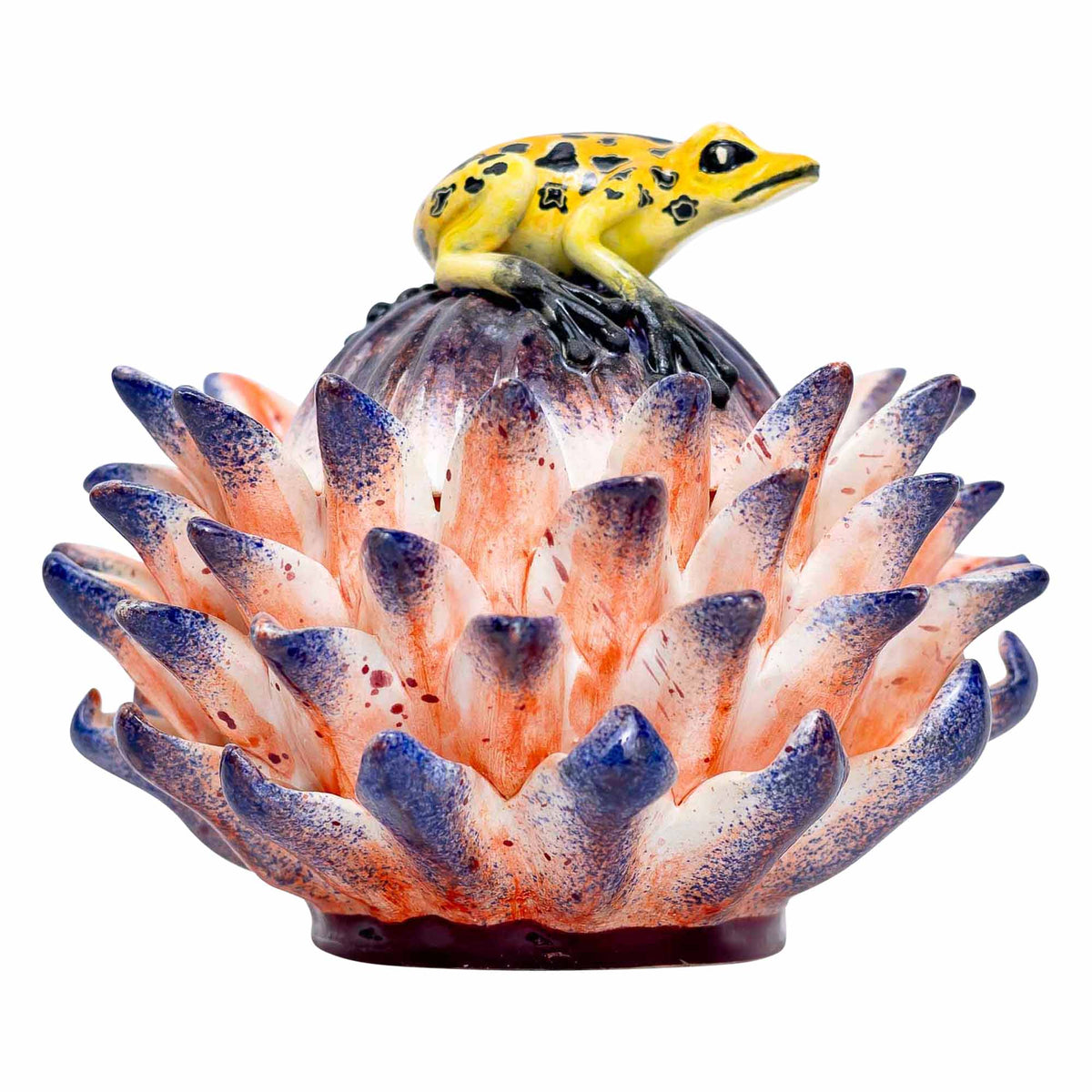 Frog, Protea Jewelry Box
