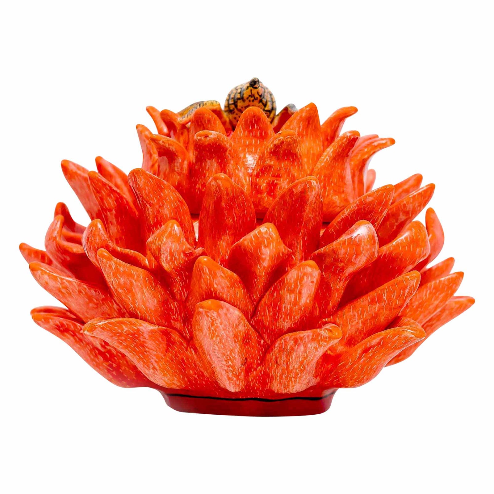 Protea Jewelry Box