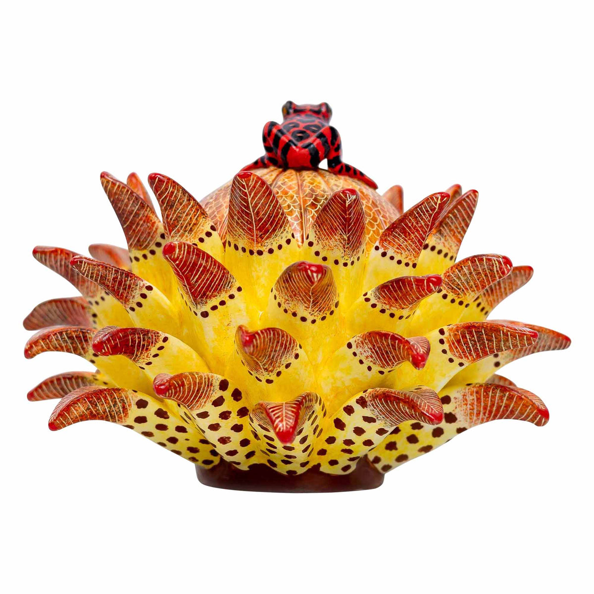 Frog, Protea Jewelry Box