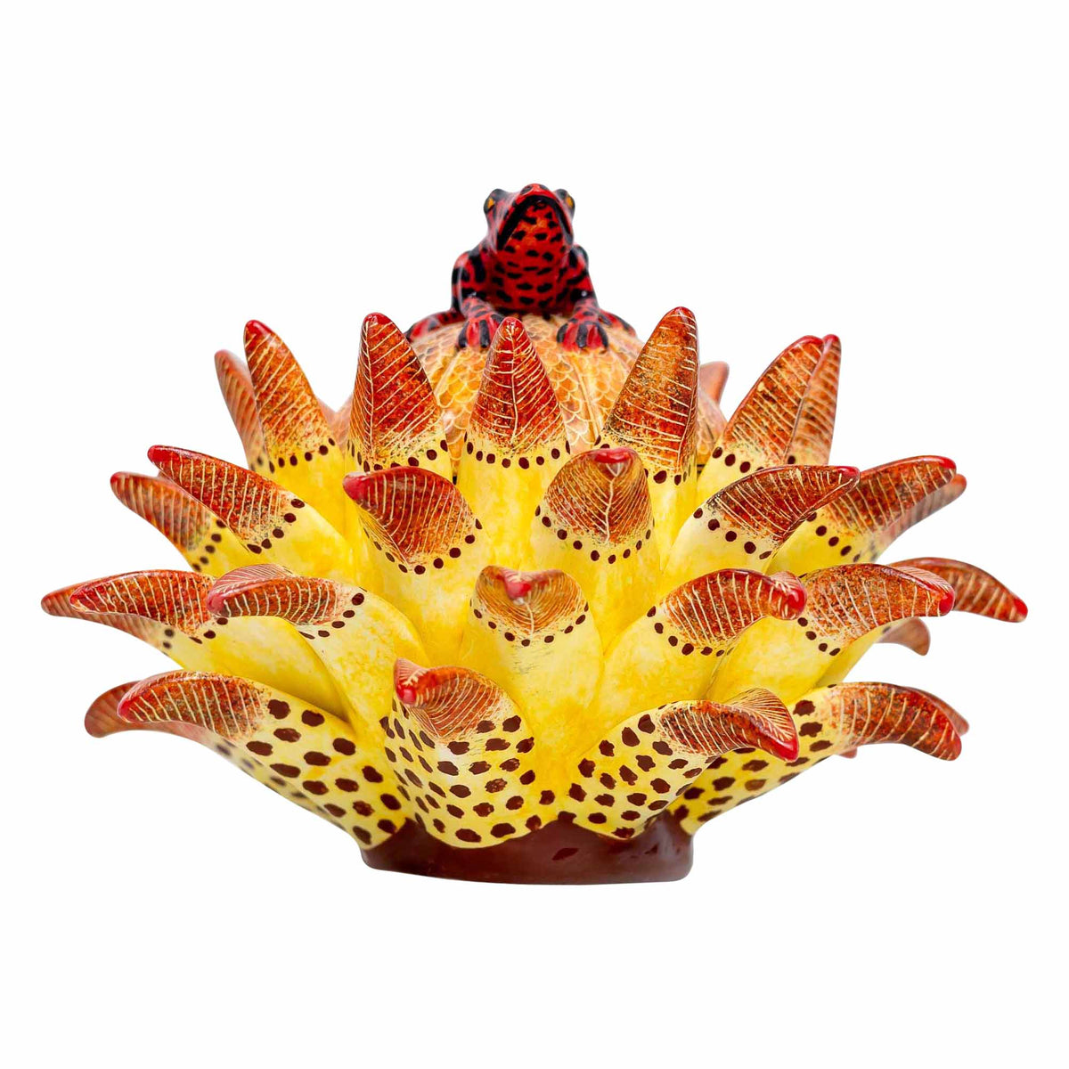 Frog, Protea Jewelry Box