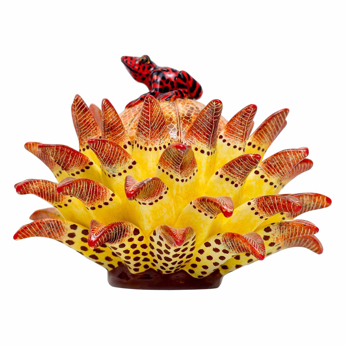 Frog, Protea Jewelry Box