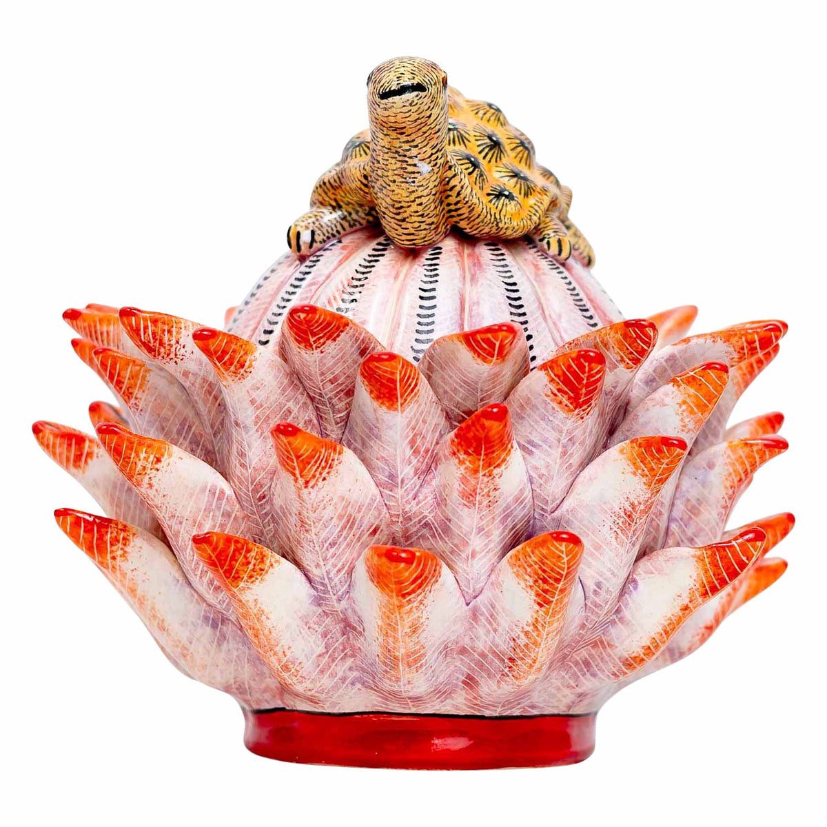 Tortoise, Protea Jewelry Box